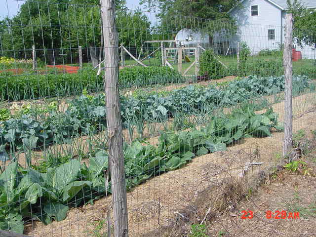 Fenced-in Organic Vegetable Garden